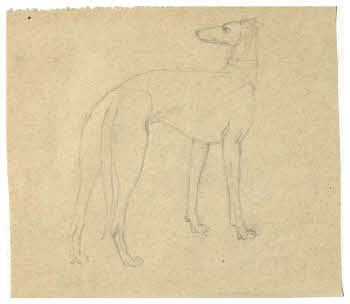 Visualizza l'immagine "FD D 245"